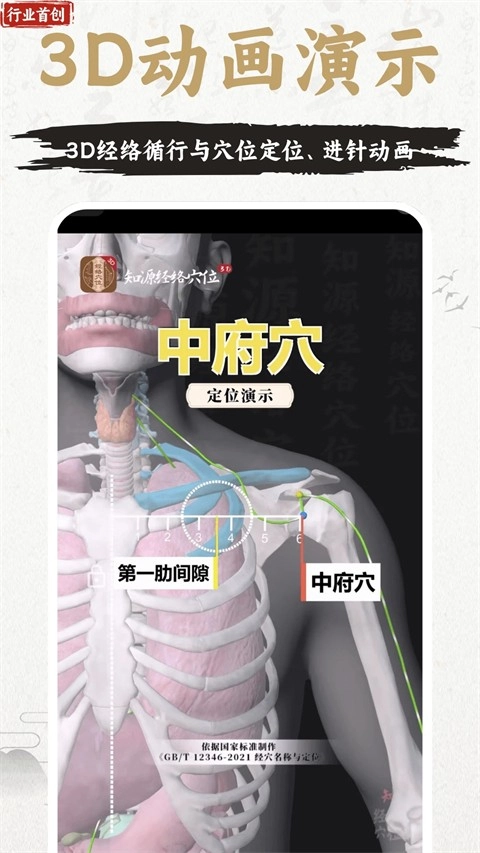 中济经络穴位免费版图1