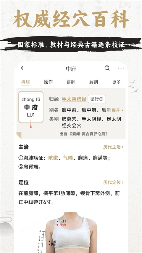 中济经络穴位免费版图2