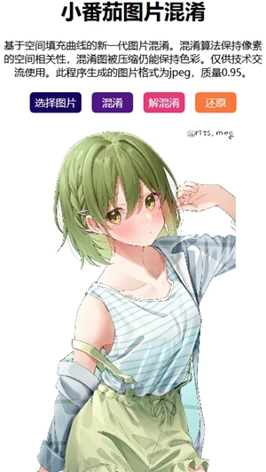 小番茄图片混淆netlify图2