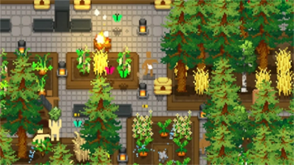 小小梯田-截圖4