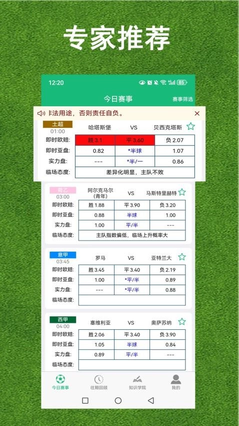 綠茵放大鏡-截圖3