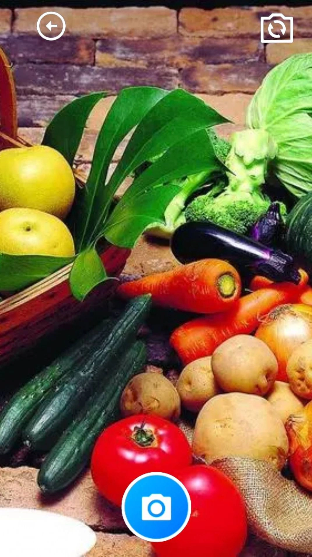 花蝶舞盒子-截圖3