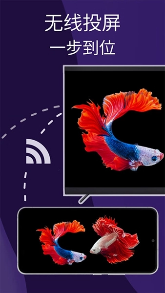 雨燕投屏会员解锁版(3)