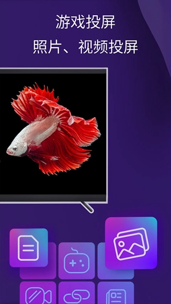 雨燕投屏会员解锁版(1)