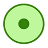 细胞实验室汉化版