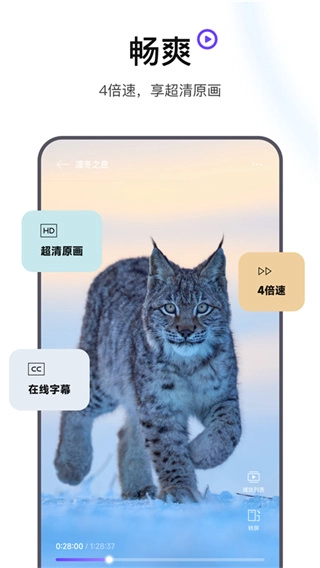 迅雷浏览器正版图1