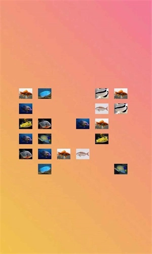 鱼鱼别跑游戏图3