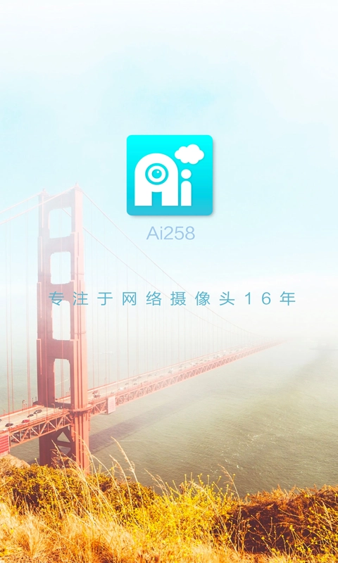 Ai258软件图2