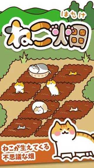 猫咪田园(ねこ畑)图1