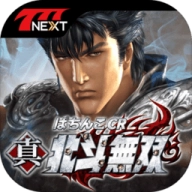 真·北斗无双器