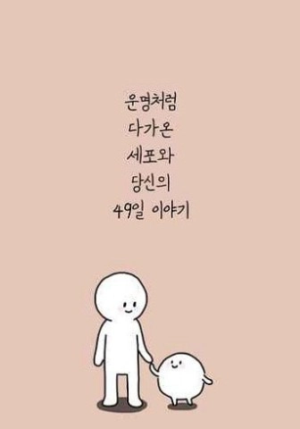 我的49天与细胞图2