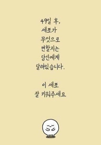 我的49天与细胞图3