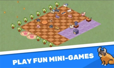 科媞奇联机版图1