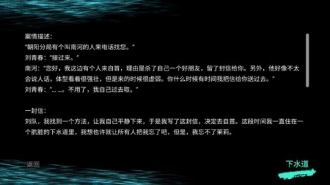 孙美琪疑案井底人2