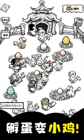 养鸡时长两年半图2