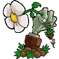 植物大战僵尸屑版