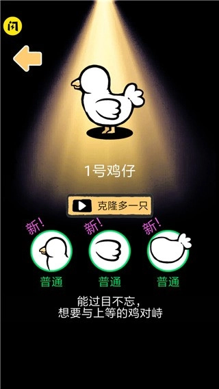 小鸡真奇怪4