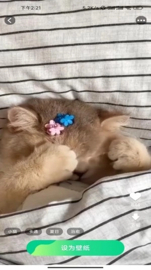 精选趣美壁纸免费版图2