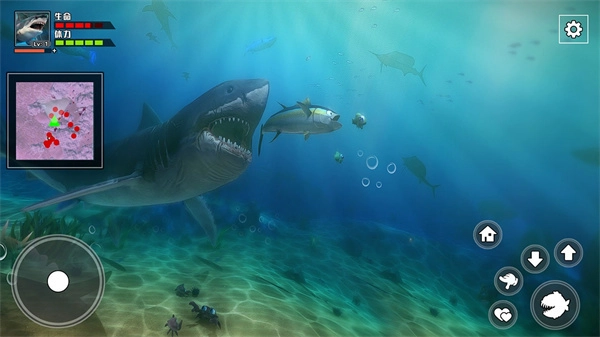 饥饿鲨鱼求生内购版图4