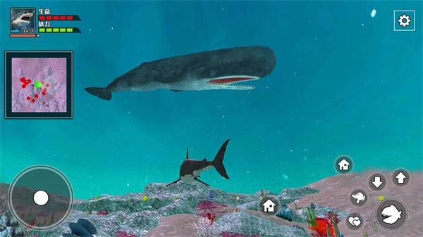 饥饿鲨鱼求生内购版图3