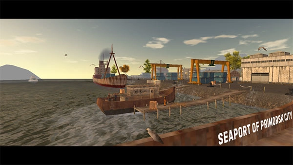 俄罗斯汽车司机图4