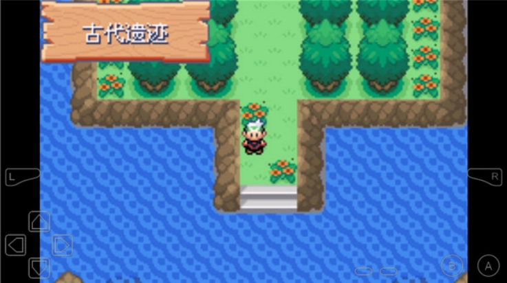 口袋妖怪永恒之沫手机版图4