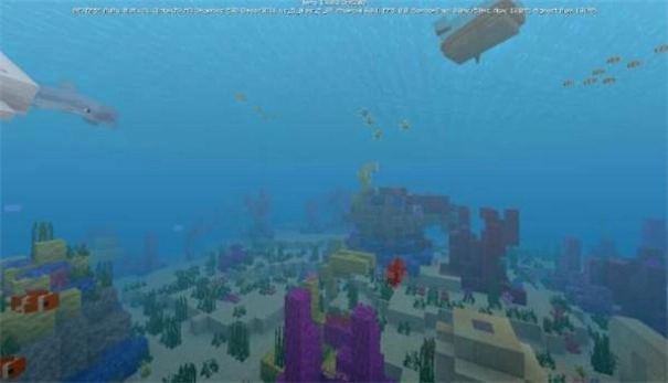 我的世界海洋版图4