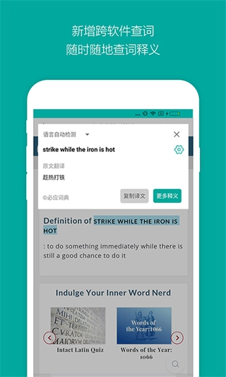 必應(yīng)詞典網(wǎng)頁版截圖2