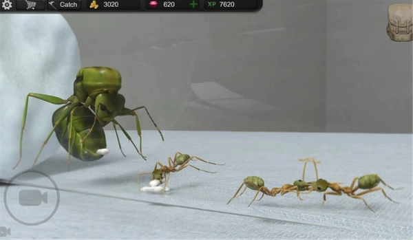 蚂蚁模拟大亨(1)