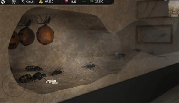 蚂蚁模拟大亨(3)