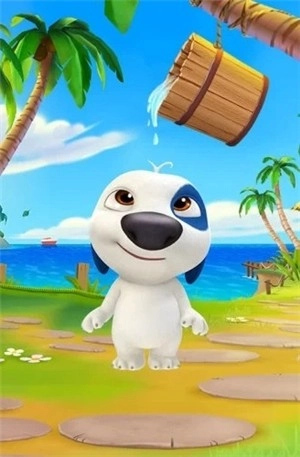 2026我的汉克狗图4