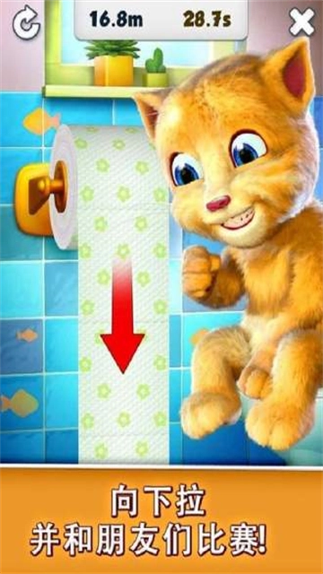 会说话的金杰猫 