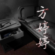 孙美琪疑案之方婷婷