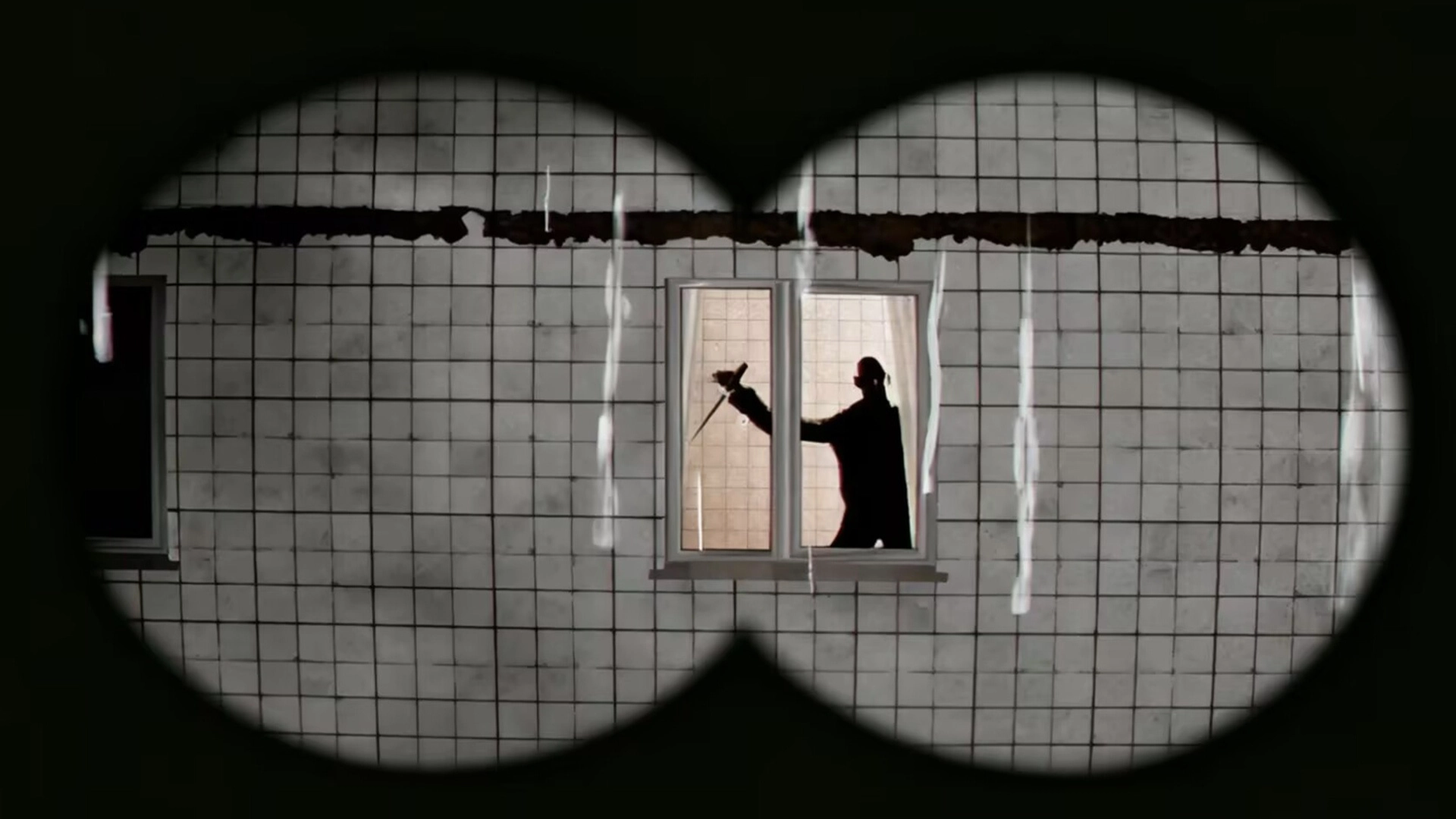 目击凶杀案-图1