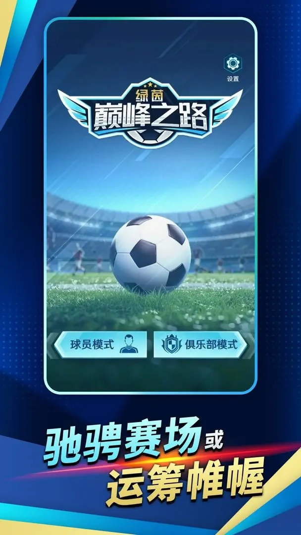 绿茵巅峰之路图2