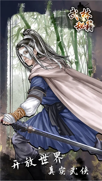 武林秘籍游戏