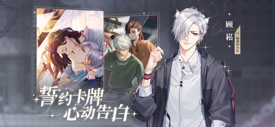 猫之宿约者截图1