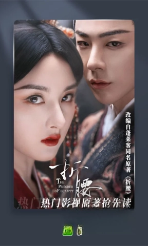 晋江文学城旧版安装包图3