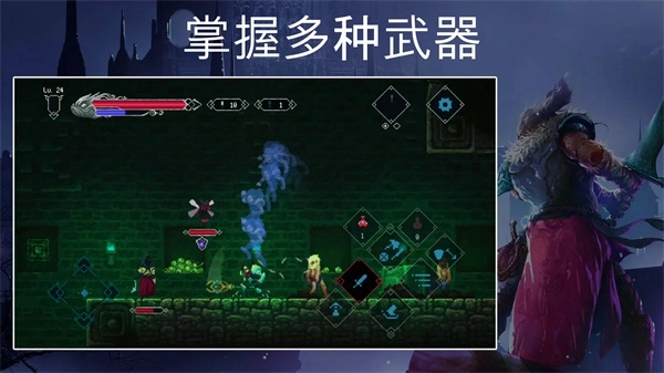 埃德兰菜单 Elderand图5