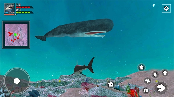 饥饿鲨鱼求生图4