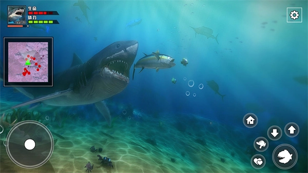 饥饿鲨鱼求生图1