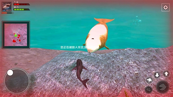 饥饿鲨鱼求生图2
