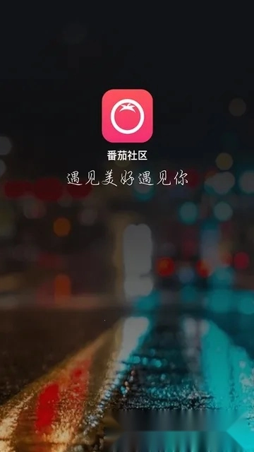 番茄交友(社交交友平台)  手机版图2