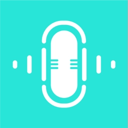 分贝测试仪手机版