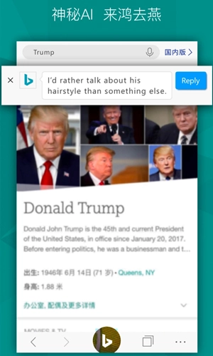 必应搜索国际版图2