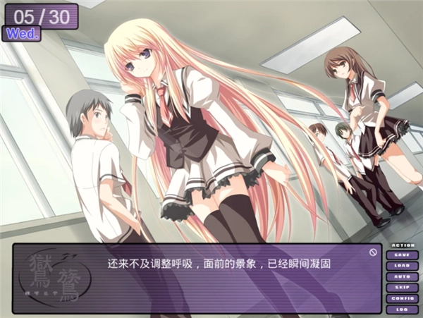 鸑鷟镜花水月安卓版截图2