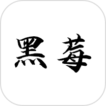 黑莓小说阅读器