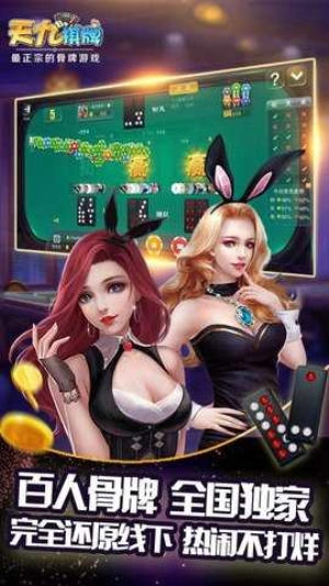 天地人天九牌(2)