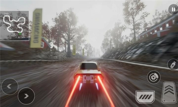 拉力赛专业版(2)