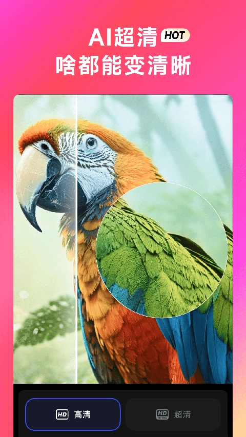 美图whee会员解锁版图2